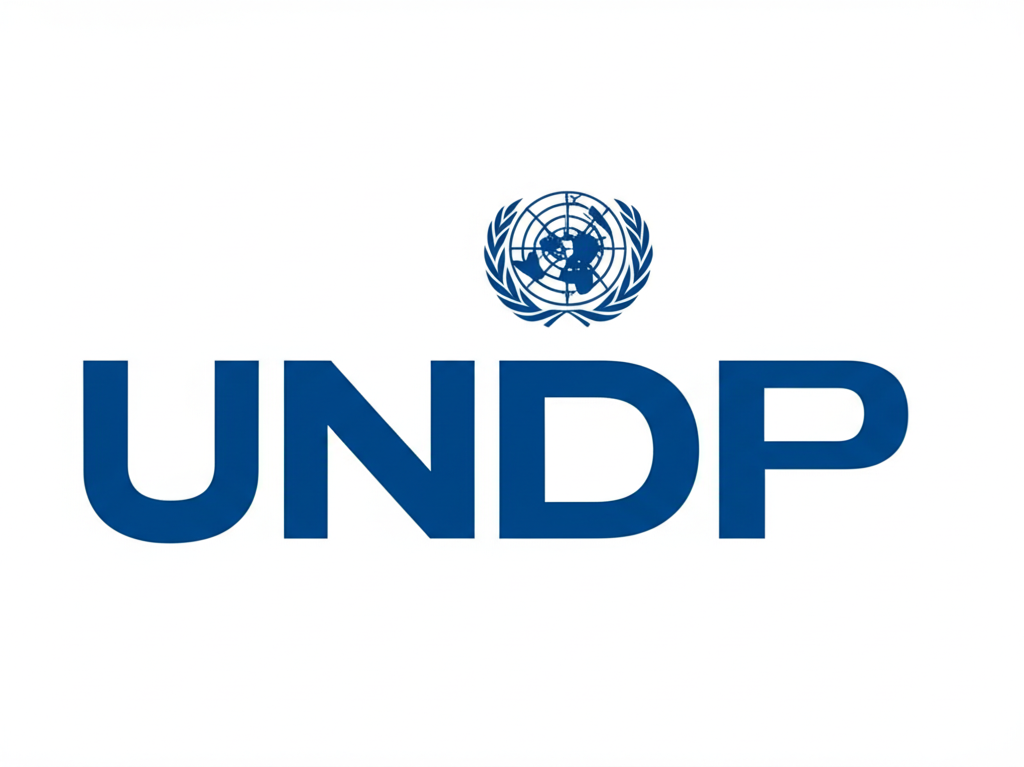 UNDP